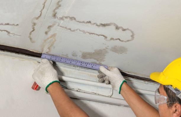 Reliable Water Damage contractor in Crockett, CA by Water Damage Irwin